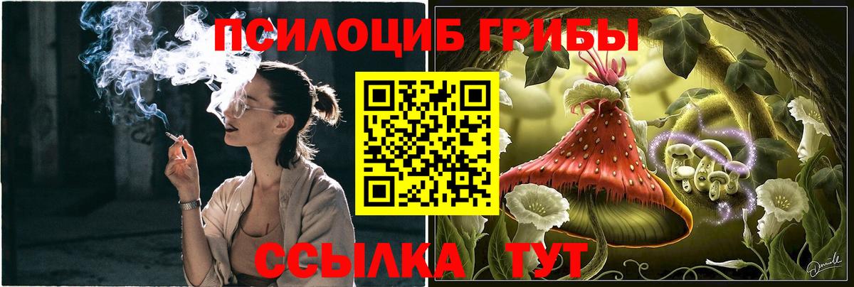 Псилоцибиновые грибы Psilocybine cubensis Шарыпово