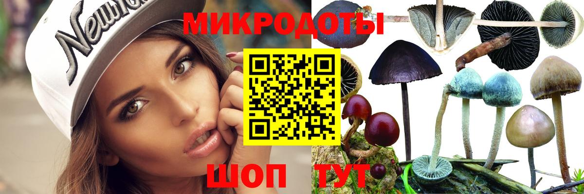 Псилоцибиновые грибы MAGIC MUSHROOMS  Вход с VPN  даркнет сайт  Шарыпово 